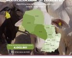 PARAGUAY YA TIENE 4.000.000 DE BOVINOS IDENTIFICADOS EN EL SISTEMA DE IDENTIFICACIÓN ANIMAL DEL PARAGUAY (SIAP)