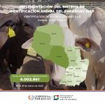 PARAGUAY YA TIENE 4.000.000 DE BOVINOS IDENTIFICADOS EN EL SISTEMA DE IDENTIFICACIÓN ANIMAL DEL PARAGUAY (SIAP)