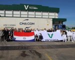 PARAGUAY INICIA LAS EXPORTACIONES DE CARNE OVINA A EMIRATOS ÁRABES UNIDOS